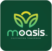 Moasis
